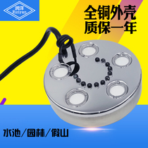 Runyang single-head 3-head 5-head landscape atomizer rockery pool Small atomizer Atomizer head atomizer fog maker