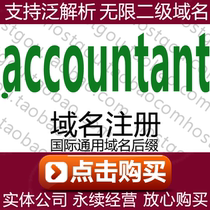  accountant Domain registration Support pan-resolution Unlimited second-level domain Rice accounting url purchase application