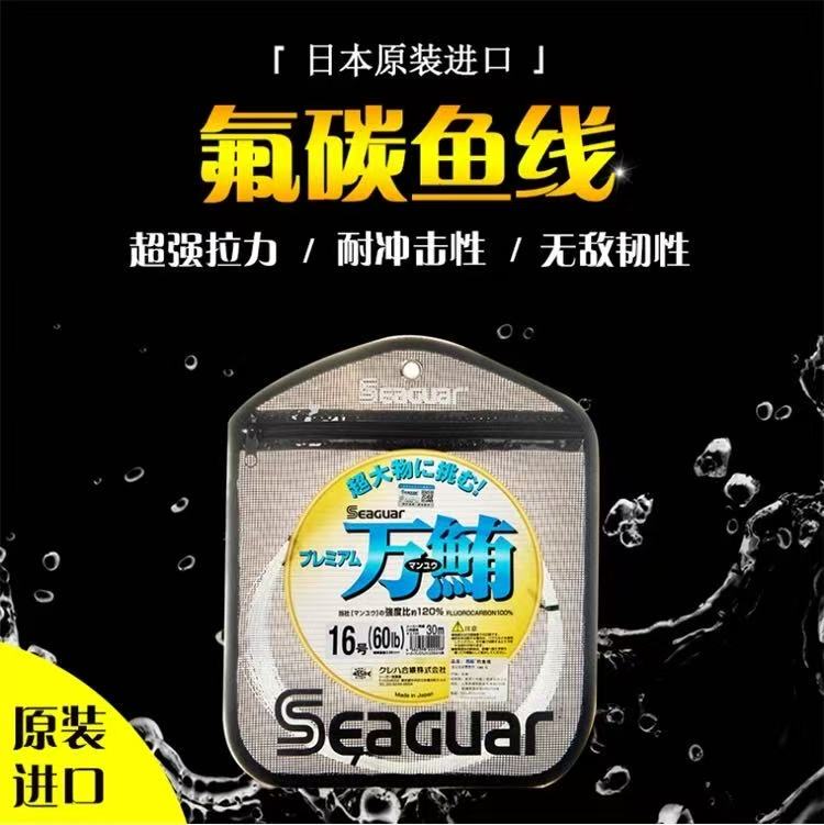 Seaguar Carbon Line Leader Line Genuine Lure Fishing Line Blue Tuna Imported Sea Fishing Line Deep Sea Main Line
