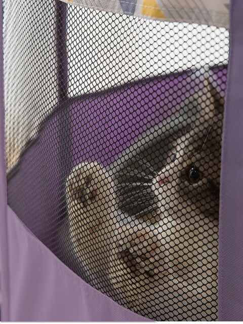 Cat Maternity Nest, Enclosed Cat Nest Tent, Dog Pregnancy and Birthing Nest, Pet Production Supplies Complete Set