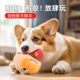 Rechargeable Electric Dog Toy, Self-Entertaining Boredom Buster, Bite-Resistant Pet Toy for Teddy and Corgi, Energy-Consuming Dog Walking Ball