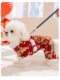 Spring Festival Festive Dog Clothes for Small Dogs, Teddy Winter Warm Tang Suit for New Year Celebrations, Suitable for Outdoor Use with Leash, Four-Legged Cotton Coat