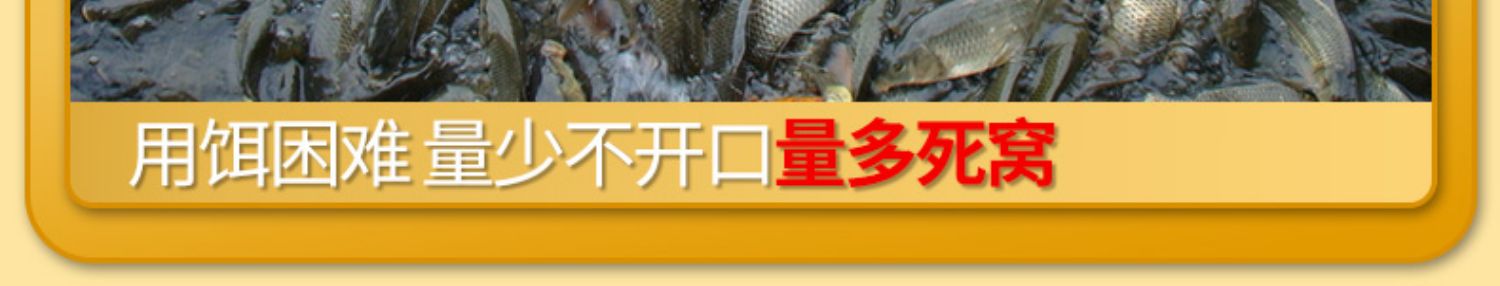 秋冬季千里香小药钓鱼诱鱼剂野钓鲤鱼鲫鱼黑坑专用开口剂饵料鱼饵