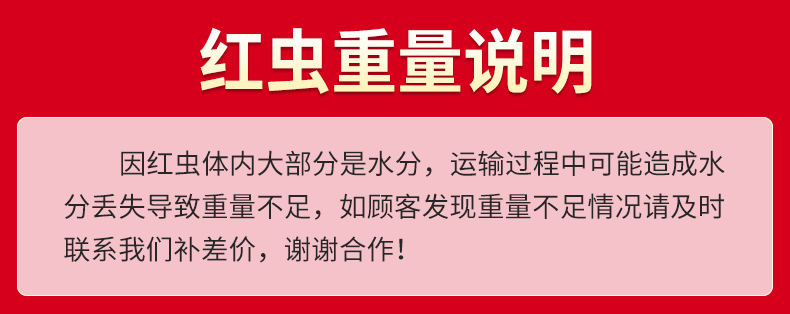 鲜活红虫鱼饵新鲜活体活饵特大公虫喂鱼拉饵鲫鱼饵料钓鱼蚯蚓鱼食