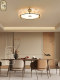Song-Style Aesthetic Ceiling Lamp, Bedroom Lamp, New Chinese-Style All-Copper Enamel Art Lighting, Light Luxury High-End Dining Room Lamp