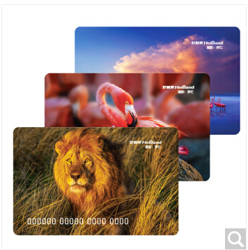 Good Lie to e-card RMB100  cake Cake bread West point cake storage value physical card with shipping costs