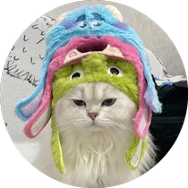 Pet dog hat winter small dog Yorkshire Maltese funny headgear headgear cute winter warm