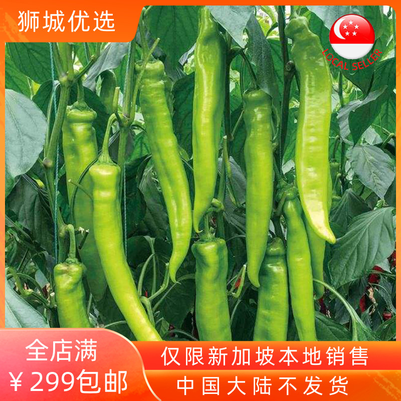 (Vegetable) Horn Chili 1kg Singapore local delivery