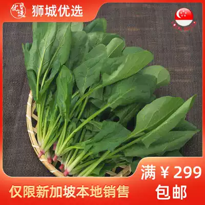 (Vegetables) Spinach 1kg Singapore Local Shipping