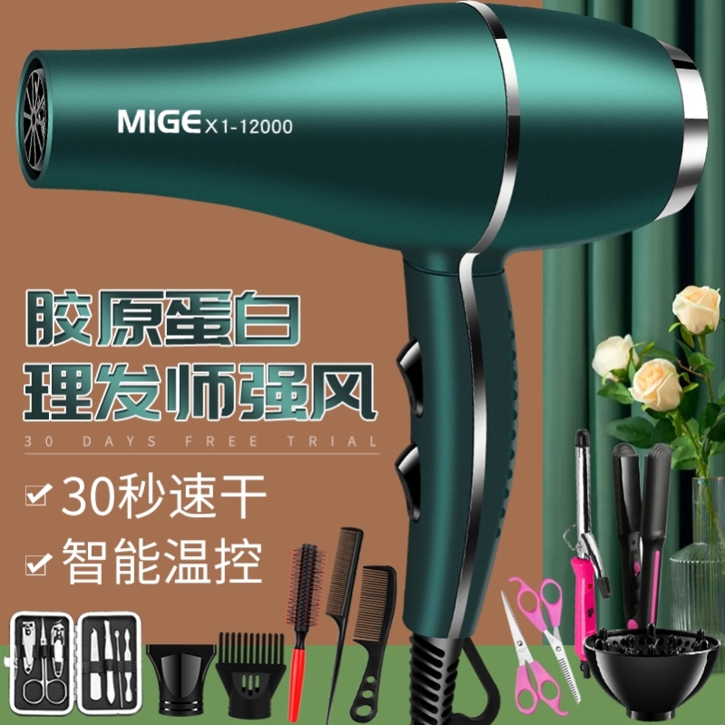 Hairdryer Hairdresshop Windy Gale Hair Salon Special High Power 3000w Strong Wind W Large Wind Speed Dry W