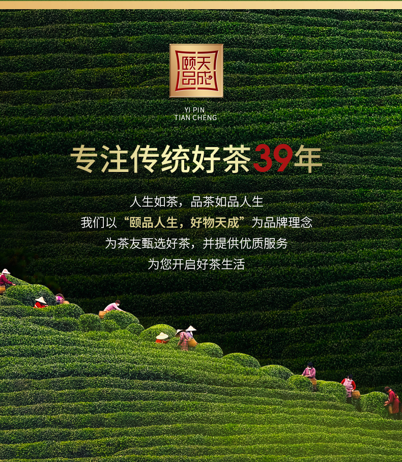 颐品天成 明前特级 信阳毛尖绿茶 50g 图1