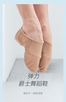 Chen Ting dance teacher shoes low-heeled jazz shoes womens elastic mesh soft-soled practice shoes black dance shoes for adults