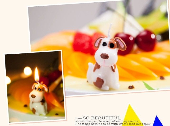 Bougie - Ref 2488358 Image 7