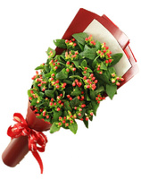 Flowers Express Flowers Express Yunnan Kunming Red Beans Mung Beans Acacia Peas