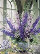 Delphinium flowers birthday love gift Home wedding flower arrangement National flower Express