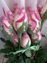 Two-color pink rose Kunming flower Courier Yunnan fresh cut flower wedding family flower arrangement express delivery