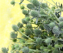 Yunnan Kunming flower express lover fruit characteristics with flower business family flower arrangement