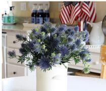 Yunnan Kunming Flowers Express Flowers Express Dutch imported Thorns 5 sticks one tie 1 tie up can be used as dried flowers