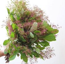 Mist lover Yunnan base listed fresh cut flower accessories Household flower express