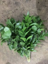 Orange Leaf Fresh Art Floral Accessories Grass Green Matching Ingredients Cisung Flowers Express Couriers