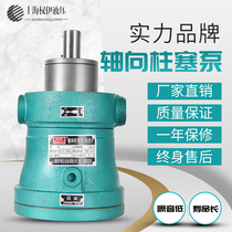 2 5MCY5MCY10MCY25MCY40MCY63MCY80MCY160MCY14-1B axial piston pump