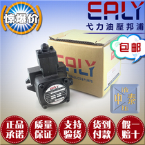  YILI variable vane pump EALY oil pump Taiwan original VPE-F24A F24B F24C F24D-10