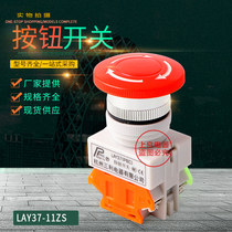 LAY37-11ZS Y090-11ZS LAY7-11ZS Mushroom head emergency stop self-locking push button switch