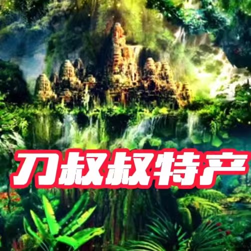 刀叔叔特产