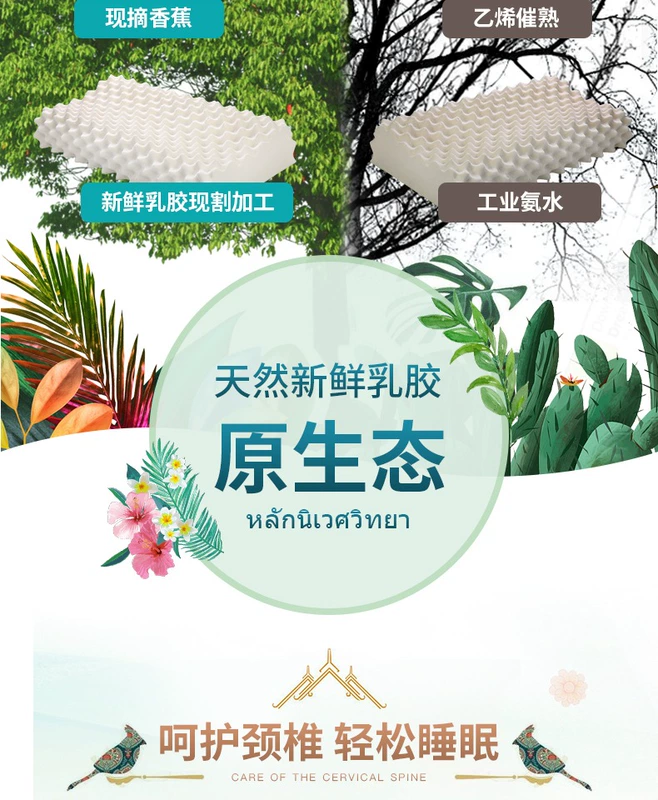 Gối cao su Thái Lan Gối nhập khẩu đơn hộ gia đình gốc cao su tự nhiên gối ôm