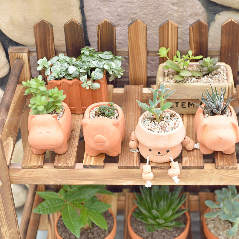 ľ����ʵľ��㻨����ZLHJ001