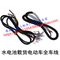 Electric tricycle full car line large line battery line high power water battery cargo tricycle with brush brushless