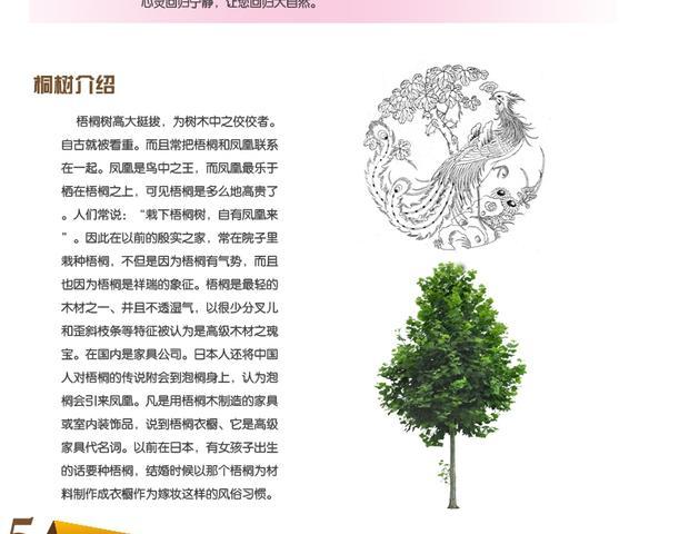 Phong cách Trung Quốc hiện đại đơn giản phân vùng màn hình văn phòng hiên gấp màn hình 4 di chuyển gấp 2 màn hình hai mét - Màn hình / Cửa sổ bình phong tre