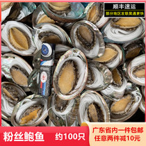 Vermicelli abalone freshly frozen about 100 pieces grilled steamed commercial banquet seafood celebrity