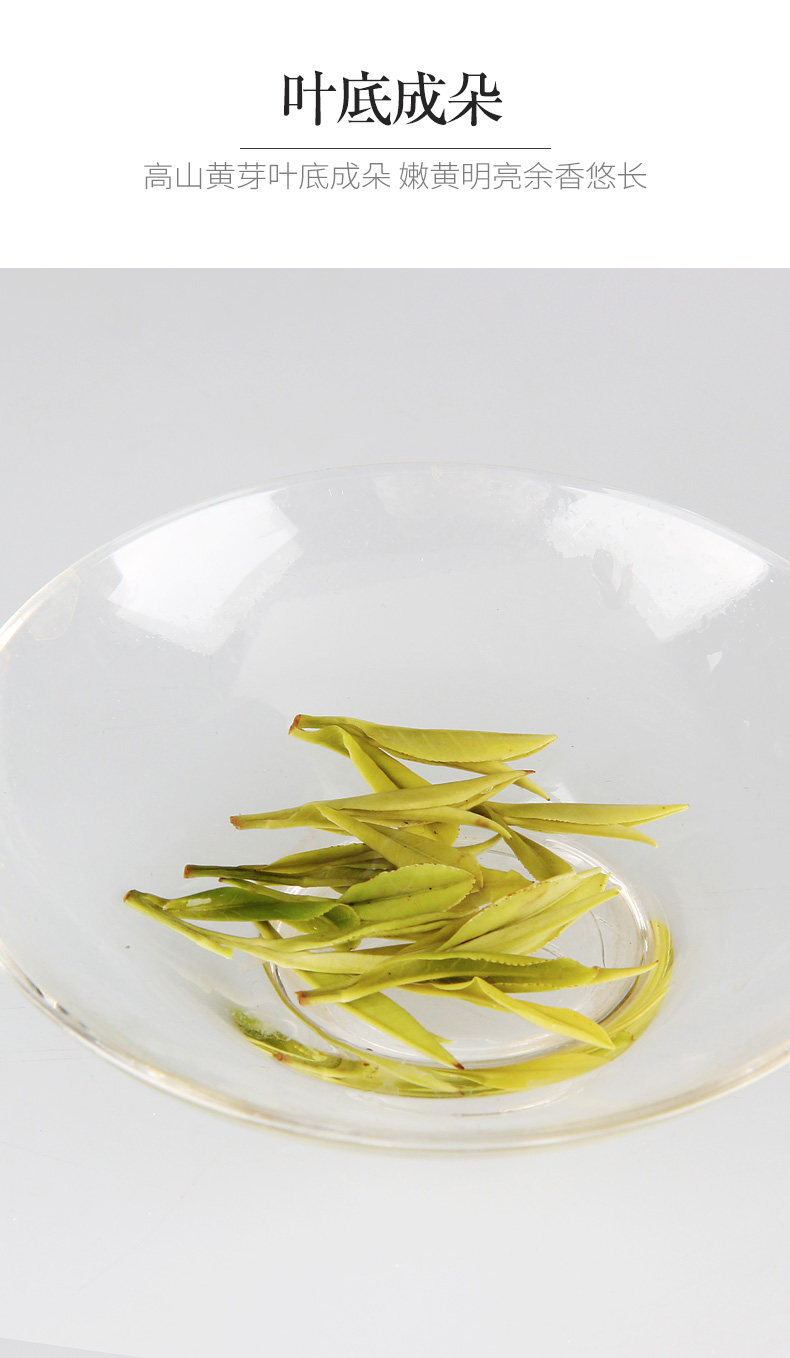 国家地理标志产品 抱儿钟秀 特二级霍山黄芽 220g 图9