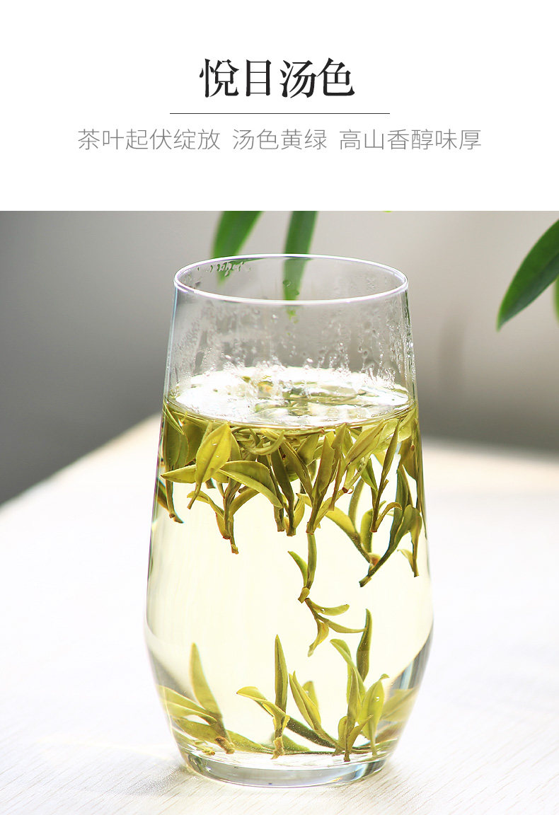 国家地理标志产品 抱儿钟秀 特二级霍山黄芽 220g 图7