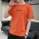 1012 кирпичный красный (M xl 2xl не пополняется)