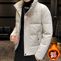 Куртка, демисезонный пуховик с пухом, 2020 года, увеличенная толщина