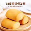 Panpan French-Style Small Bread, Whole Box of Soft Bread, Quick Breakfast, Hunger-Relief Snack, Late-Night Snack, Lazy Person's Leisure Snack, Snack Food