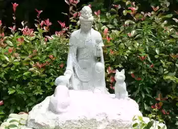 ri ben si yuan took pet cross over cat dog died cross over Buddhist Temple