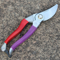 8 Inch Labor-saving Branch Cut Elbow Twigs Cut Branches Cut Garden Sheen Cut Fruit Sheared Round Forest Scissors Prunes Prunes Prunes Prunes