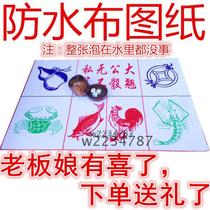 Copper money gourd fish shrimp crab Dice carved transparent color with drawings set with dice cup entertainment game chess