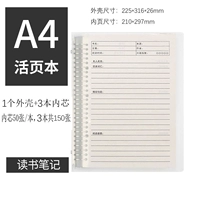 A4 Примечания к чтению/1 книга+2 Bente Core/Sending Patch+Patch