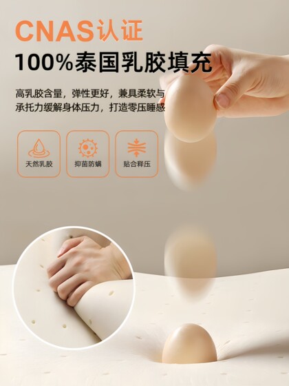 Latex Mattress Soft Pad for Home Bedroom Rental Use 180X200 Tatami Dormitory Student Single Sponge Pad