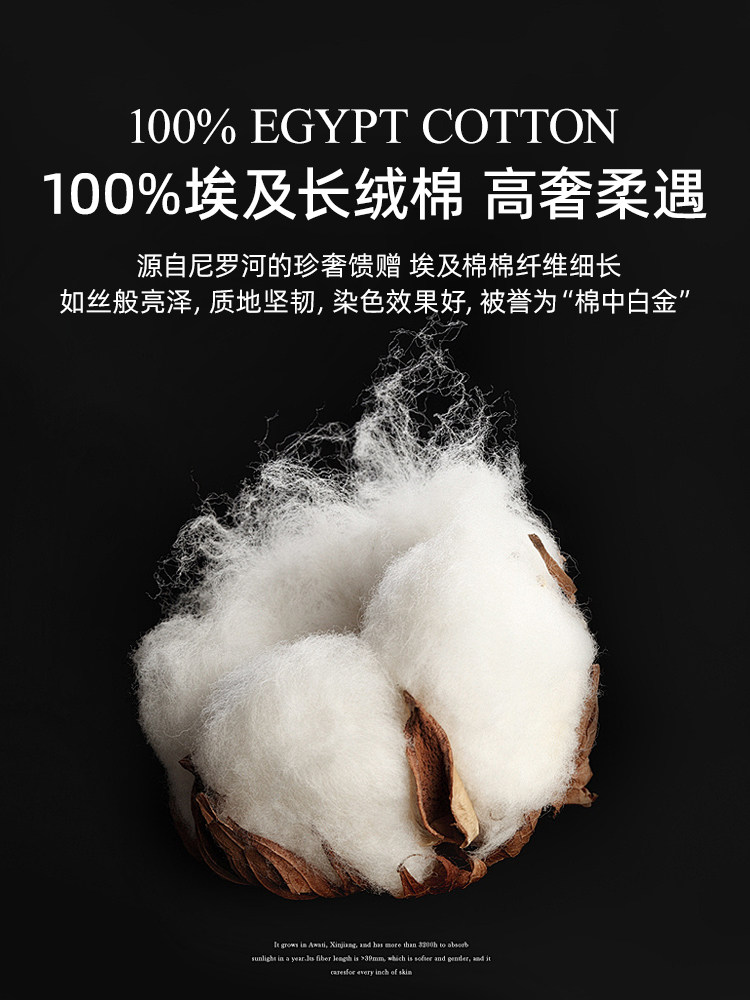 French-Style 100-Count Egyptian Long-Staple Cotton Four-Piece Bedding Set, Pure Cotton, 2025 New Model, Duvet Cover, Bed Sheet, Single Product, Grade a