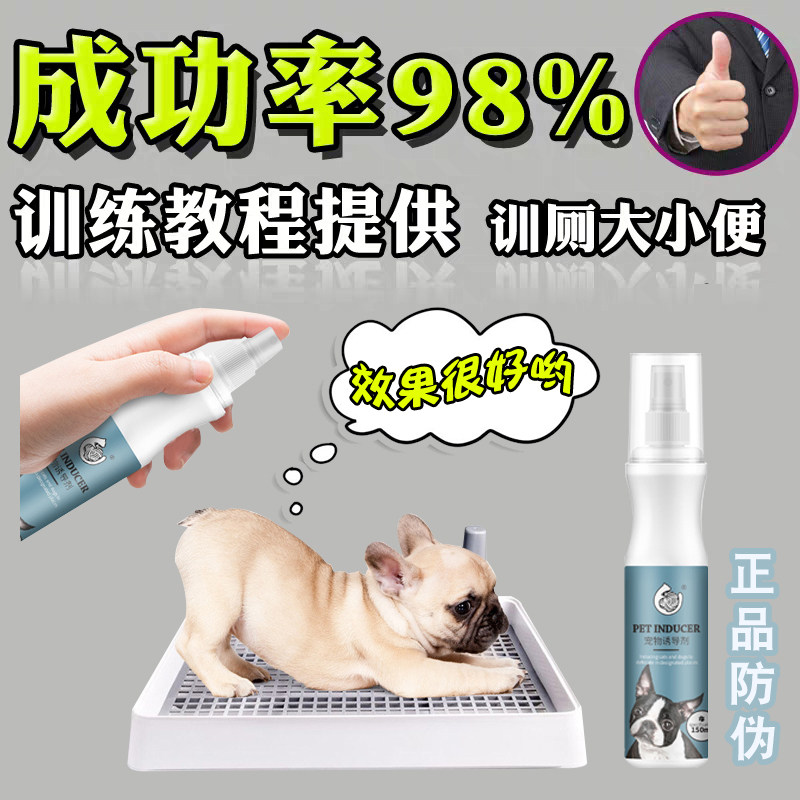 Dog inductor size to toilet Teddy positioning and seducing urine artificial instrument training guide dog training