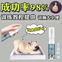 Dog-inducing agent bowels on the toilet Teddy Pinpoint Position Defecation Urinalite training to guide the training dog