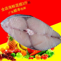 Zhanjiang specialty Yiyecheng big shark fresh chilled fish Spanish mackerel Hainan Ma Jiaoyu fresh frozen fish taste