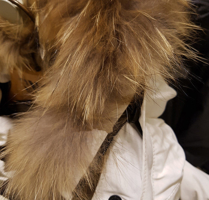 Blouson homme   OTHER - Ref 3122533 Image 28