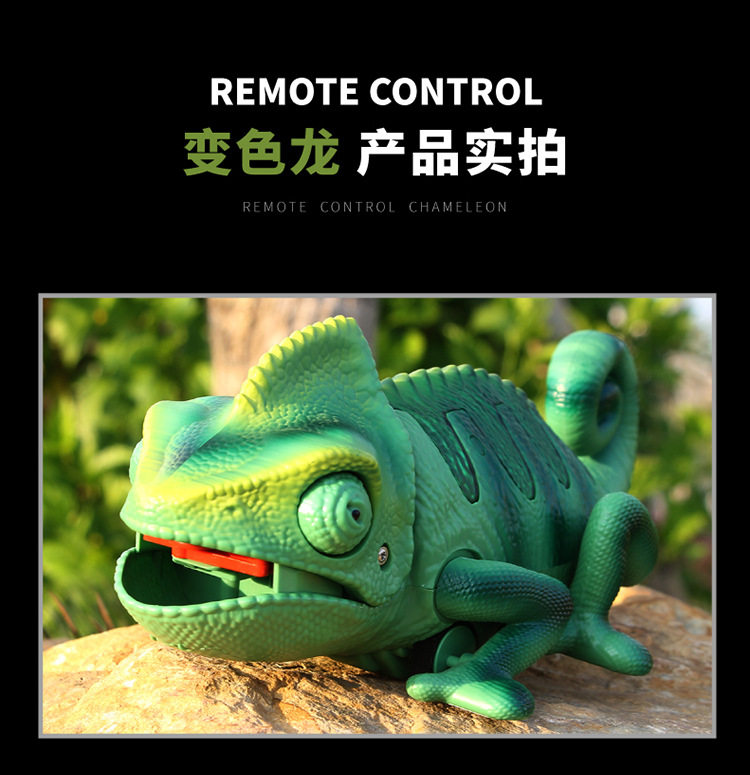 Электрический дистанционный дистанционное управление Lizard-750_18.jpg