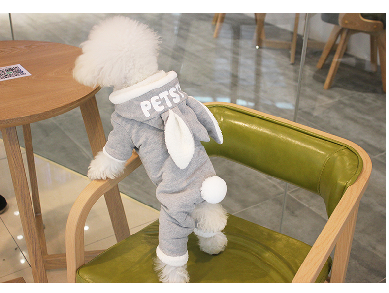 Quần áo chó bốn chân Teddy quần áo mùa đông cún con hơn quần áo Xiong Bomei - Quần áo & phụ kiện thú cưng áo cho mèo
